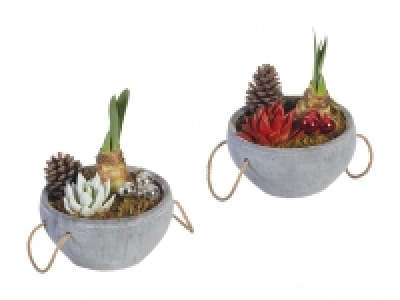 Amaryllis Arrangement Stone CHF 9.99