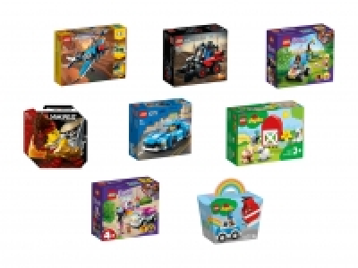 Lidl  Spielset klein