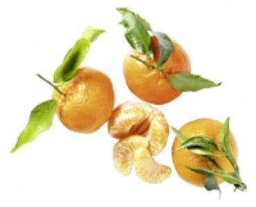 GOURMET PREMIUM BLATTCLEMENTINEN CHF 1.99