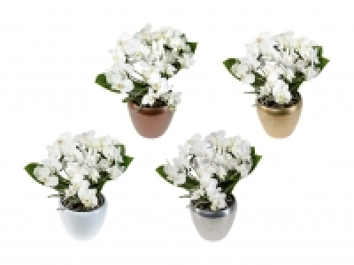 Phalaenopsis Arrangement in Keramik CHF 14.99