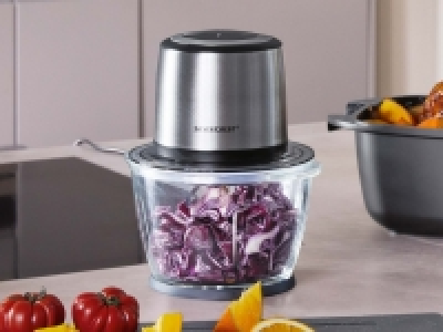 Multizerkleinerer CHF 19.99