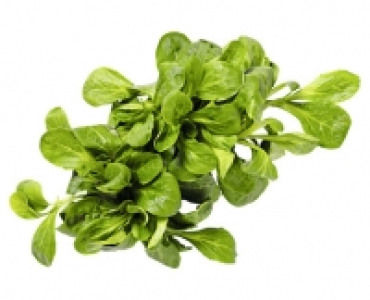SCHWEIZER NÜSSLISALAT