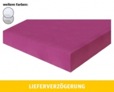 Aldi Suisse  SYLVIE MEIS® FIXLEINTUCH