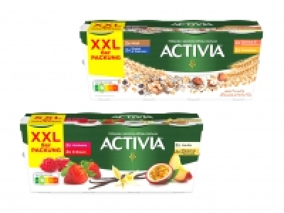 Lidl  Danone Activia Joghurt