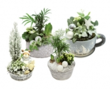 Aldi Suisse  WINTERLICHES ARRANGEMENT