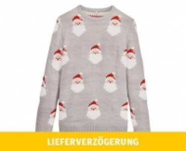 Aldi Suisse  BLUE MOTION DAMENWEIHNACHTS-PULLOVER/ -SWEATSHIRT