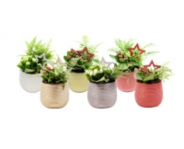 WEIHNACHTS- ARRANGEMENT