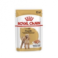 Qualipet  Royal Canin Hund Poodle 12x85g