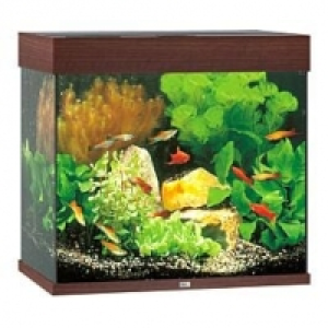 Qualipet  Juwel Aquarium Lido 120