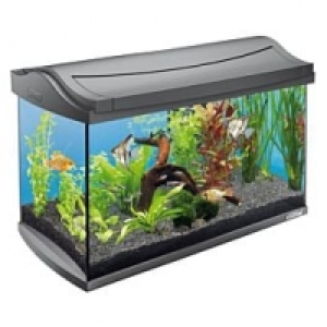 Qualipet  Tetra AquaArt LED Discover Line 60l