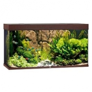 Qualipet  Juwel Aquarium Rio 350
