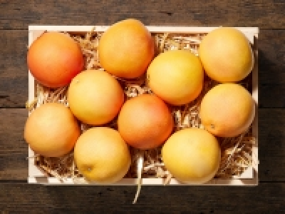 Grapefruit CHF 0.49