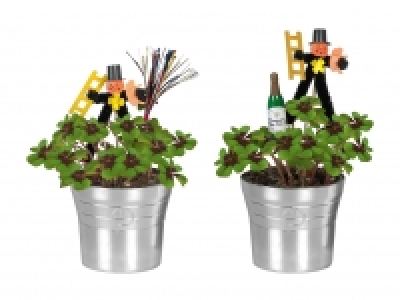 Glücksklee im Sektkübel CHF 2.99