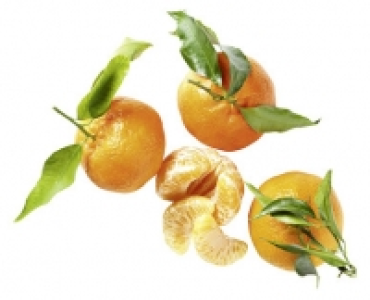 GOURMET PREMIUM BLATTCLEMENTINEN