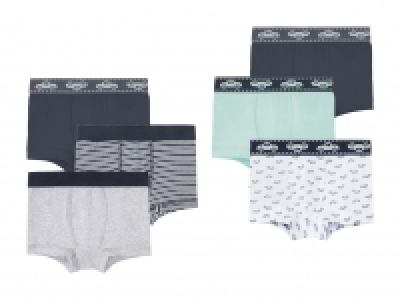 Boxer, 3er CHF 5.99