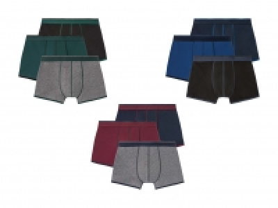 Boxer, 3er CHF 7.99