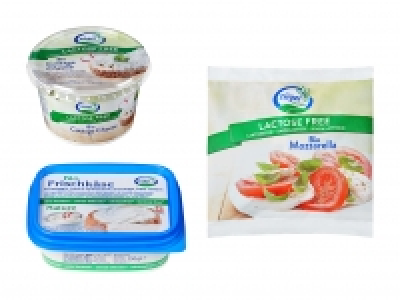 Bio Käse laktosefrei