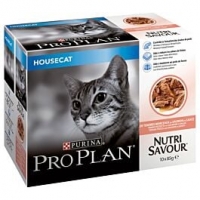 Qualipet  Pro Plan Cat Housecat Lachs in Sauce