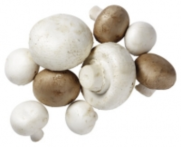 Aldi Suisse  CHAMPIGNONS