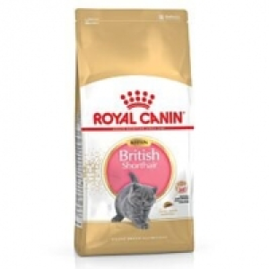 Royal Canin Feline British Shorthair Kitten