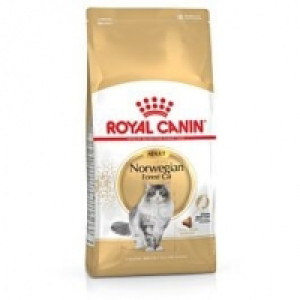 Qualipet  Royal Canin Katze Norwegian