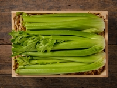 Stangensellerie CHF&nbsp;1.39