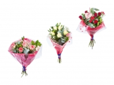 Rosen-Nelken-Strauss CHF 9.99