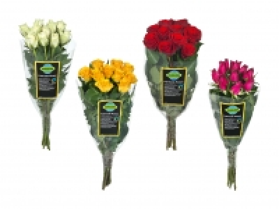 Lidl  Fairtrade Rosen