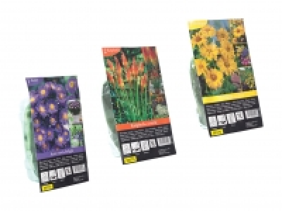 Winterharte Staudenknollen CHF 1.49