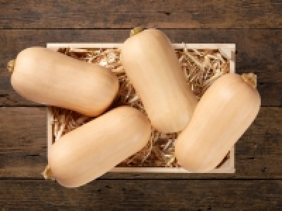Kürbis Butternuss (mind. - 40 % auf den aktuellen Tagespreis)