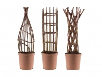Geflochtene Salix Weide CHF 12.99