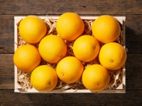 Lidl  Orangen (mind. - 40 % auf den aktuellen Tagespreis)