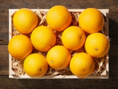 Bio Orangen