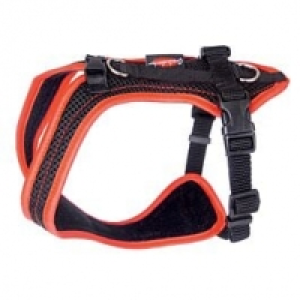Grossenbacher Brustgeschirr Dogs Fun Run rot CHF 61.00