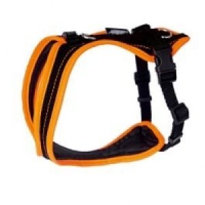 Grossenbacher Brustgeschirr Dogs Fun Run orange CHF 77.00