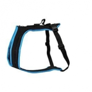 Grossenbacher Brustgeschirr Dogs Fun Run türkis CHF 75.00
