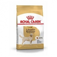 Qualipet  Royal Canin Adult Labrador Retriever