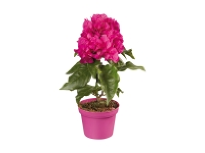 Bougainvillea Midi
