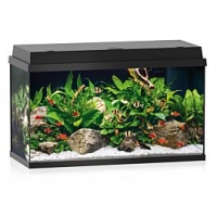 Qualipet  Juwel Aquarium Primo LED