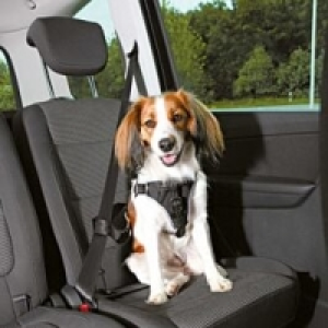 Auto-Hundegeschirr Dog Comfort S-M CHF 36.90