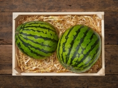 Mini Wassermelonen CHF&nbsp;1.39