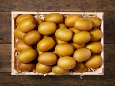 Kiwi Gold