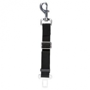 Verbindungsgurt Adapter 45-70cm schwarz CHF 11.90