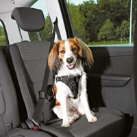Qualipet  Auto-Hundegeschirr Dog Comfort S-M