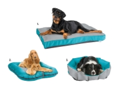 Lidl  Outdoor-Hundebett