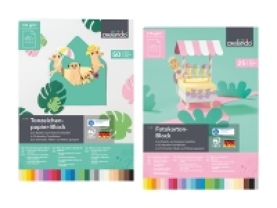 Fotokarton-/Tonzeichenpapier-Block CHF 3.99