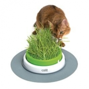 Catit Senses 2.0 Grass Planter CHF 14.80