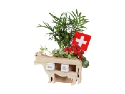 Bepflanzte Holzkuh zum 1. August