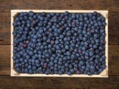 Lidl  Heidelbeeren (mind. 30 % auf den aktuellen Tagespreis)