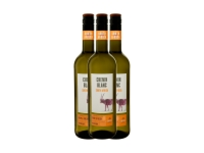 Lidl  Chenin Blanc 2021